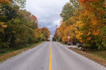 road with autumn trees-502996102 350x233