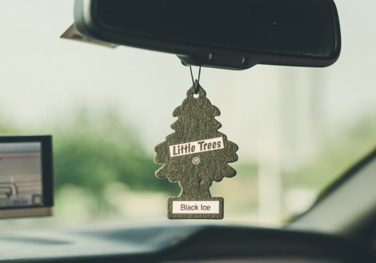 How To Get Stains and Smells Out of Car Seats Go Girl